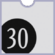 H Holiday30 Icon.png